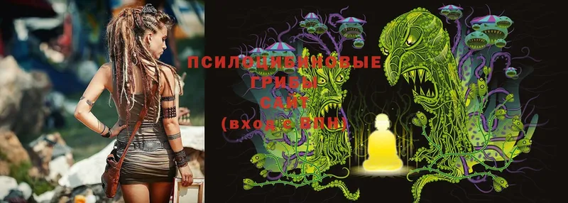 где продают   Ворсма  Псилоцибиновые грибы Cubensis 